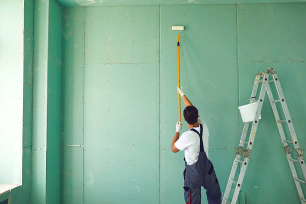 Best Mold Removal for HVAC Installations  in Whitehall, WI