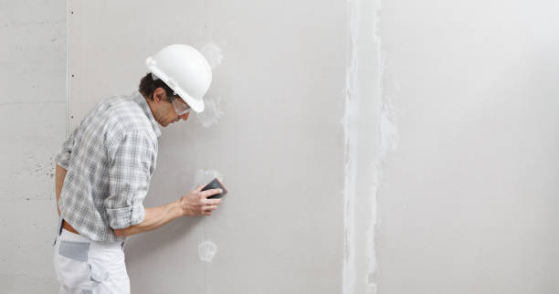 Best Emergency Mold Remediation  in Whitehall, WI