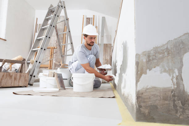 Mold Documentation for Insurance Claims in Whitehall, WI