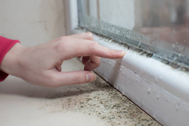 Best Air Quality Testing for Mold Spores  in Whitehall, WI