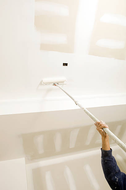 Best Basement Mold Removal  in Whitehall, WI