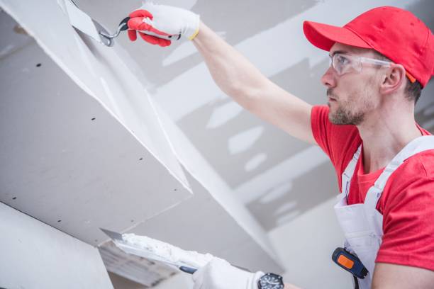 Best Attic Mold Removal  in Whitehall, WI